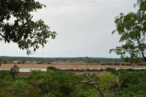 Image du site Parc National du Haut-Niger