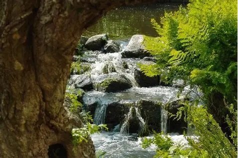 Image du site Rivières et petites cascades de Mamou