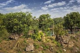 Image du site Monts de Boké