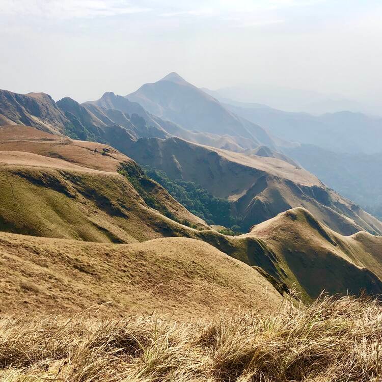 Image du site MONT NIMBA