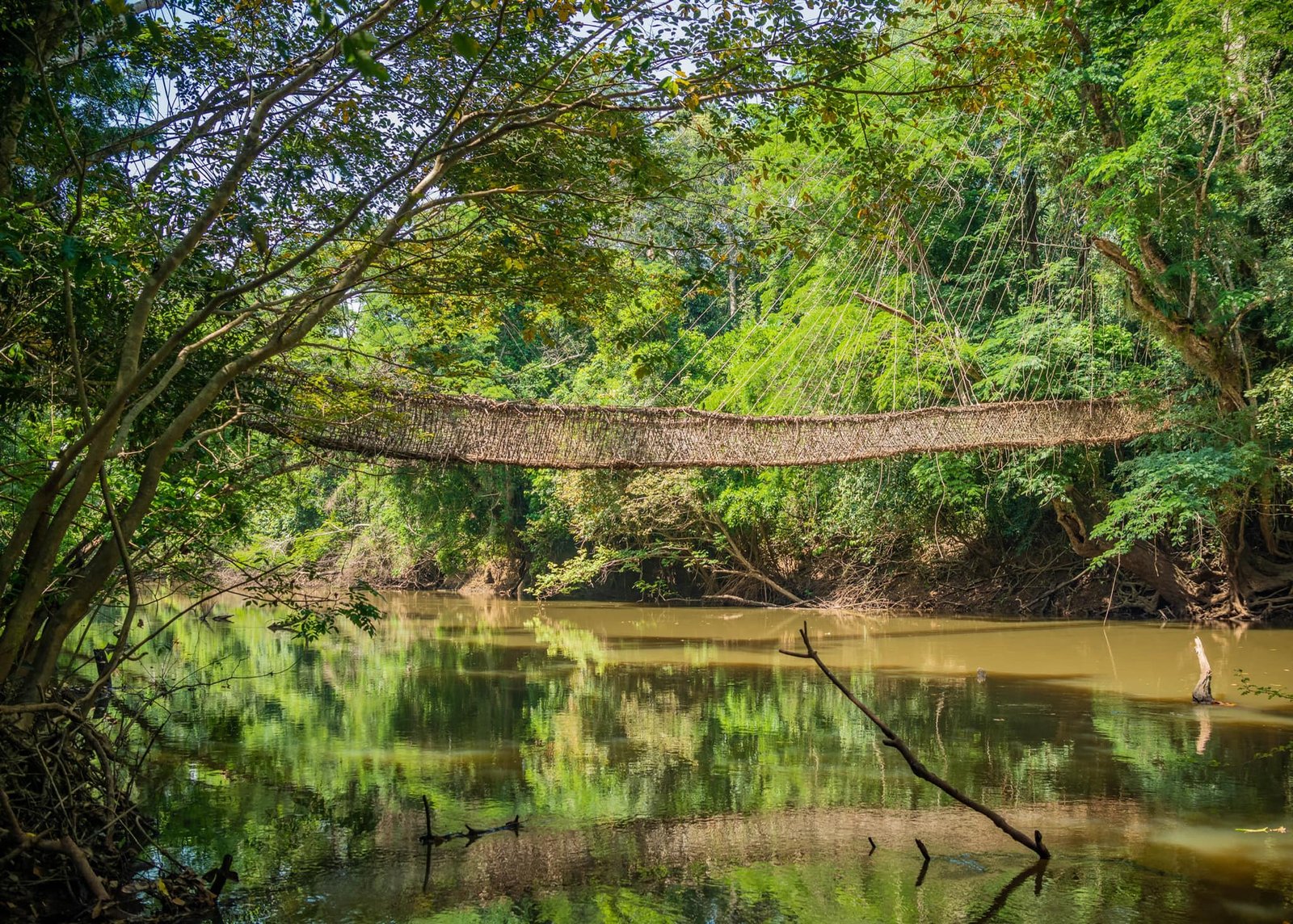 Photo — PONT DE LIANE