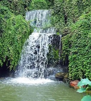 Rivières et petites cascades de Mamou