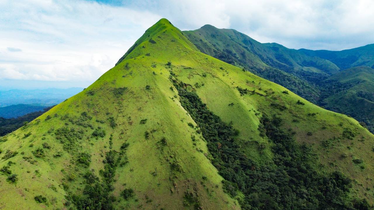 À la découverte des trésors de la Guinée Forestière.